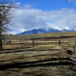 East Rosebud Property 12