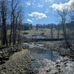 East Rosebud Property 13