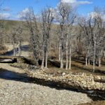 East Rosebud Property 6