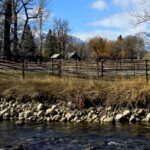 East Rosebud Property 7