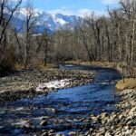 East Rosebud Property 8